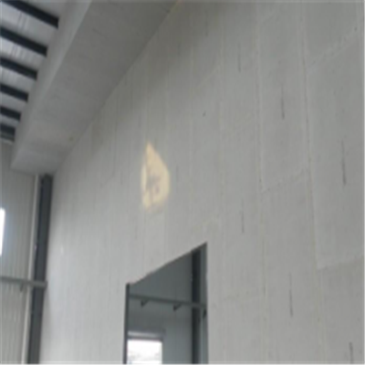 十堰新型建筑材料掺多种工业废渣的ALC|ACC|FPS模块板材轻质隔墙板